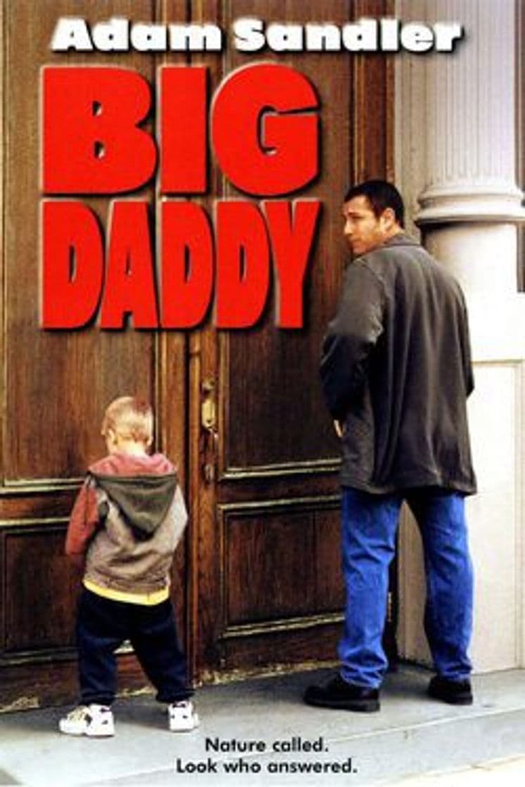 Película Big Daddy