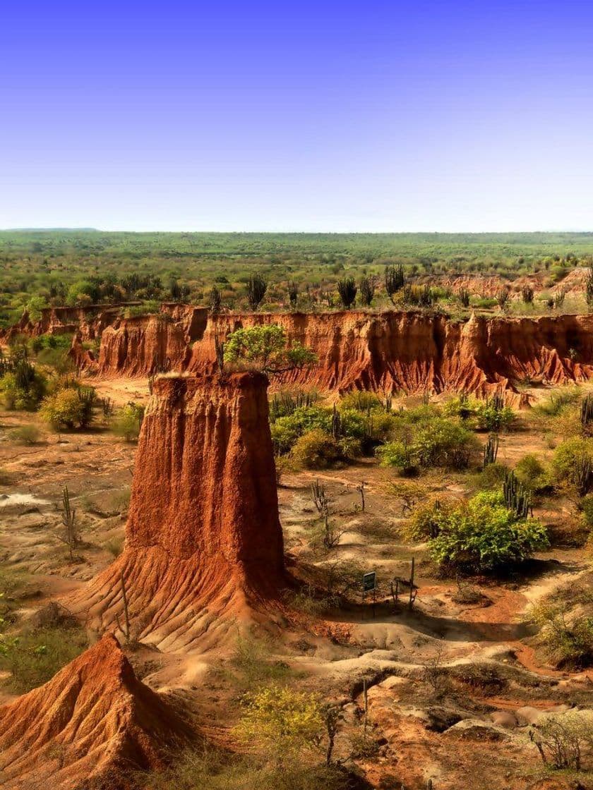 Lugar Desierto de la tatacoa