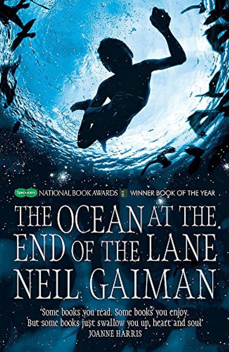 Libro The Ocean At The End Of The Lane