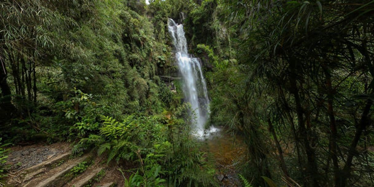 Place Parque Aventura La Chorrera