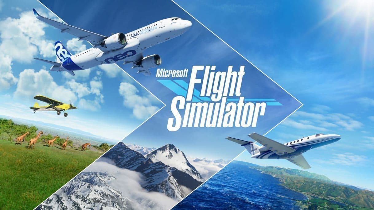 Videogames Microsoft Flight Simulator