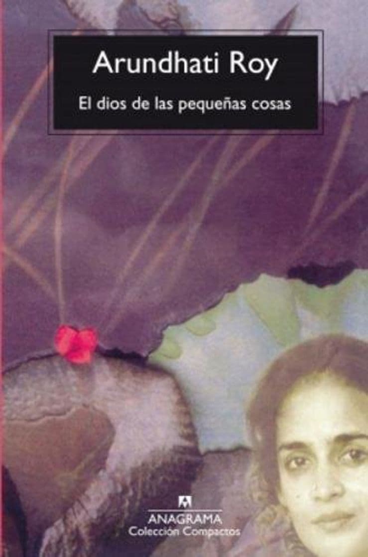 Libro El dios de las pequeñas cosas