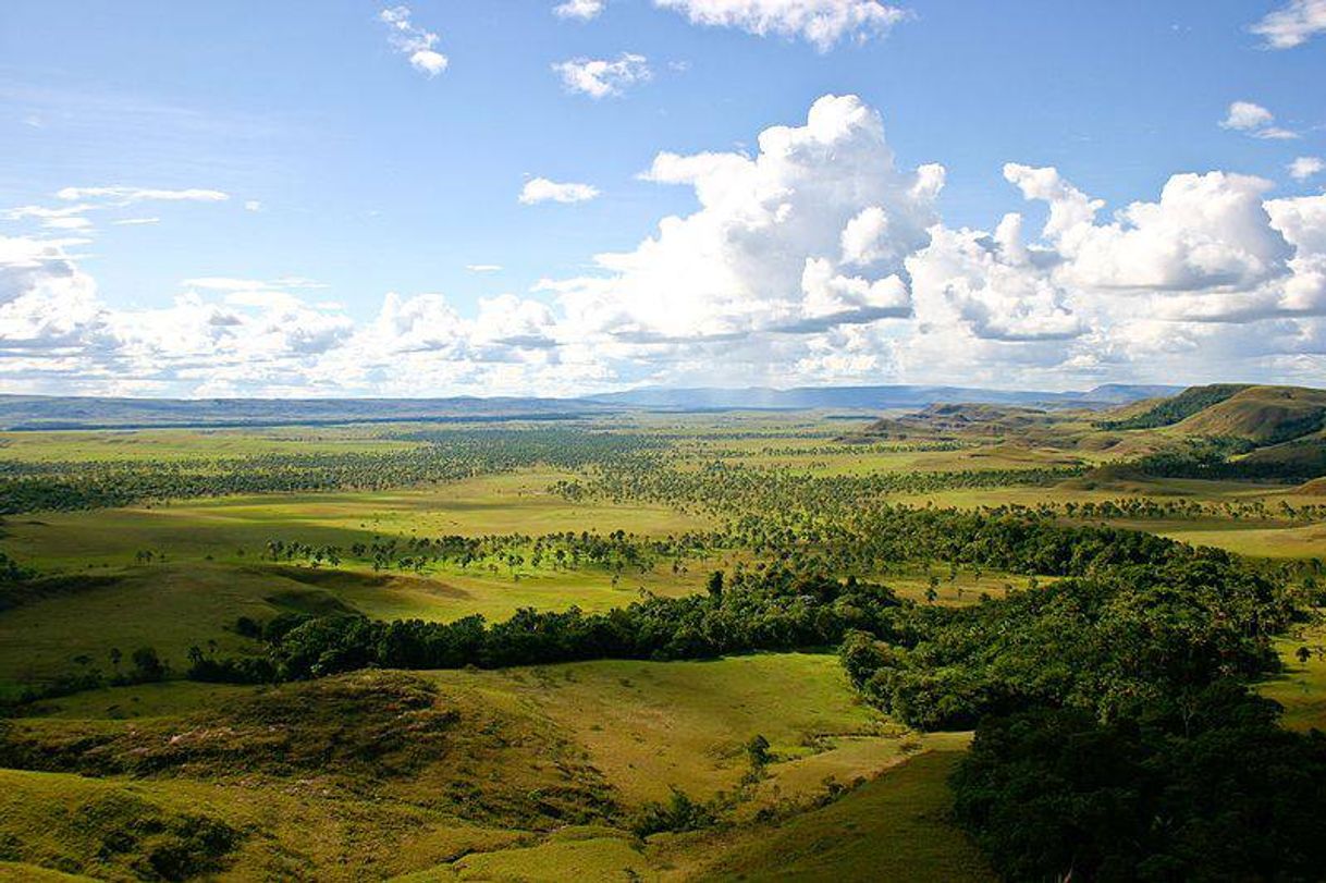 Lugar La Gran Sabana