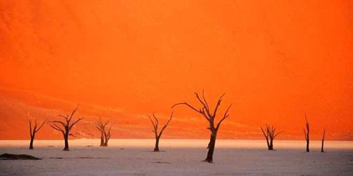 Place Dead Vlei