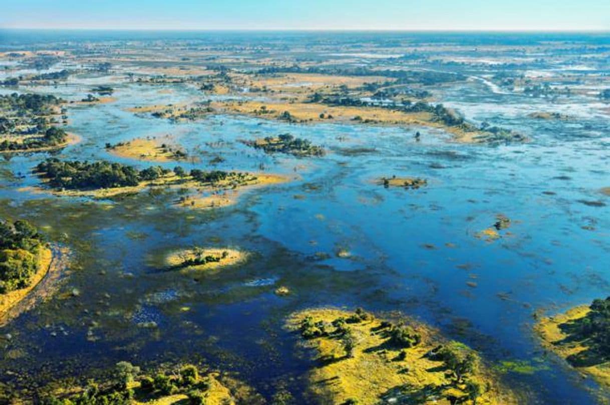 Place Delta del Okavango