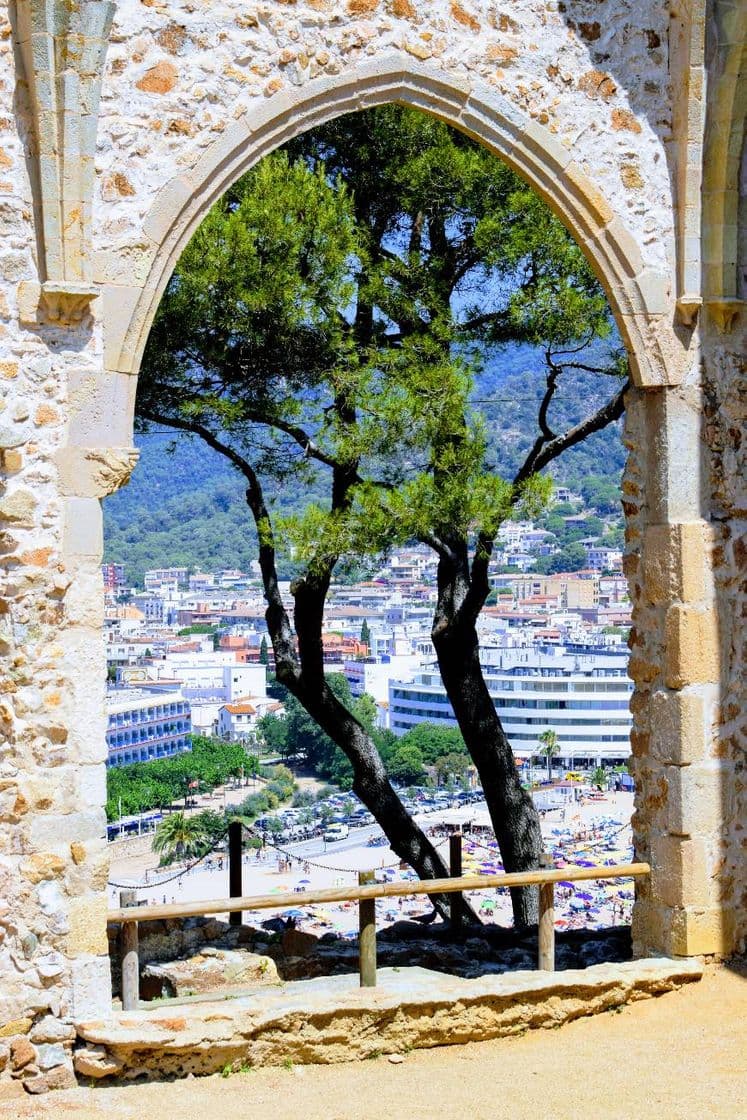 Lugar Església Vella de Sant Vicenç