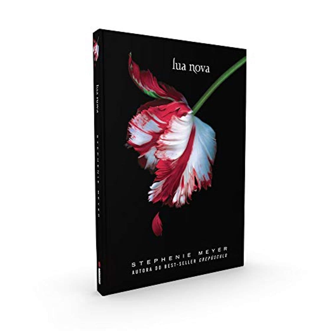 Libro Lua Nova