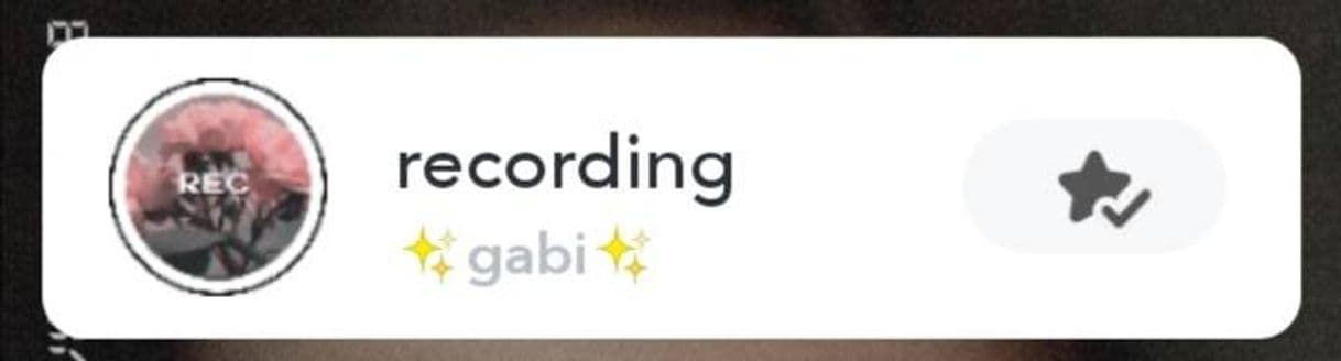 Moda Filtro de snapchat (recording-gabi)