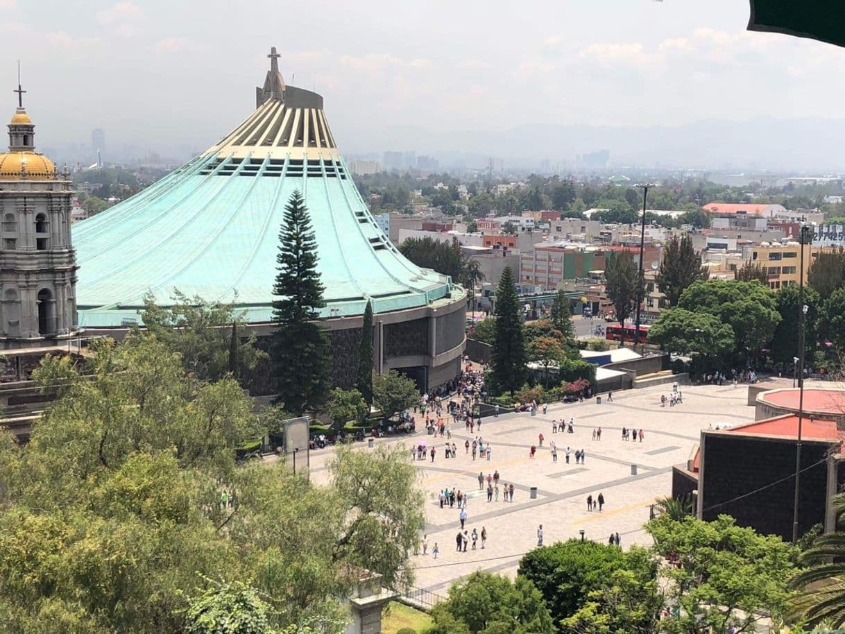 Lugar Basílica de Guadalupe