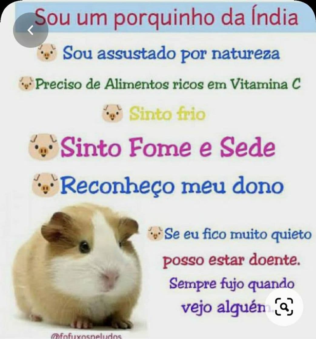 Moda Atenção!🐭