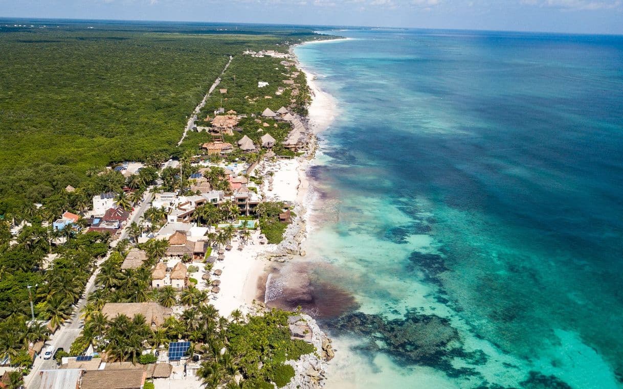 Restaurantes Yucatán