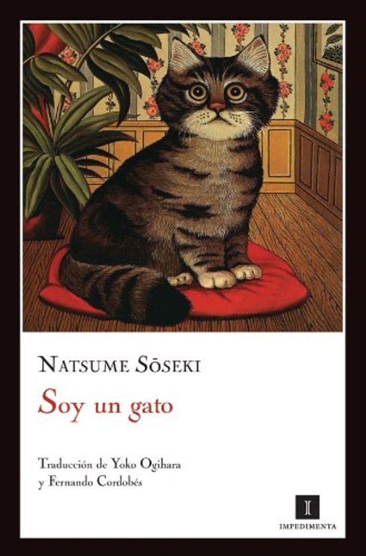 Libro Soy Un Gato 11ｦed