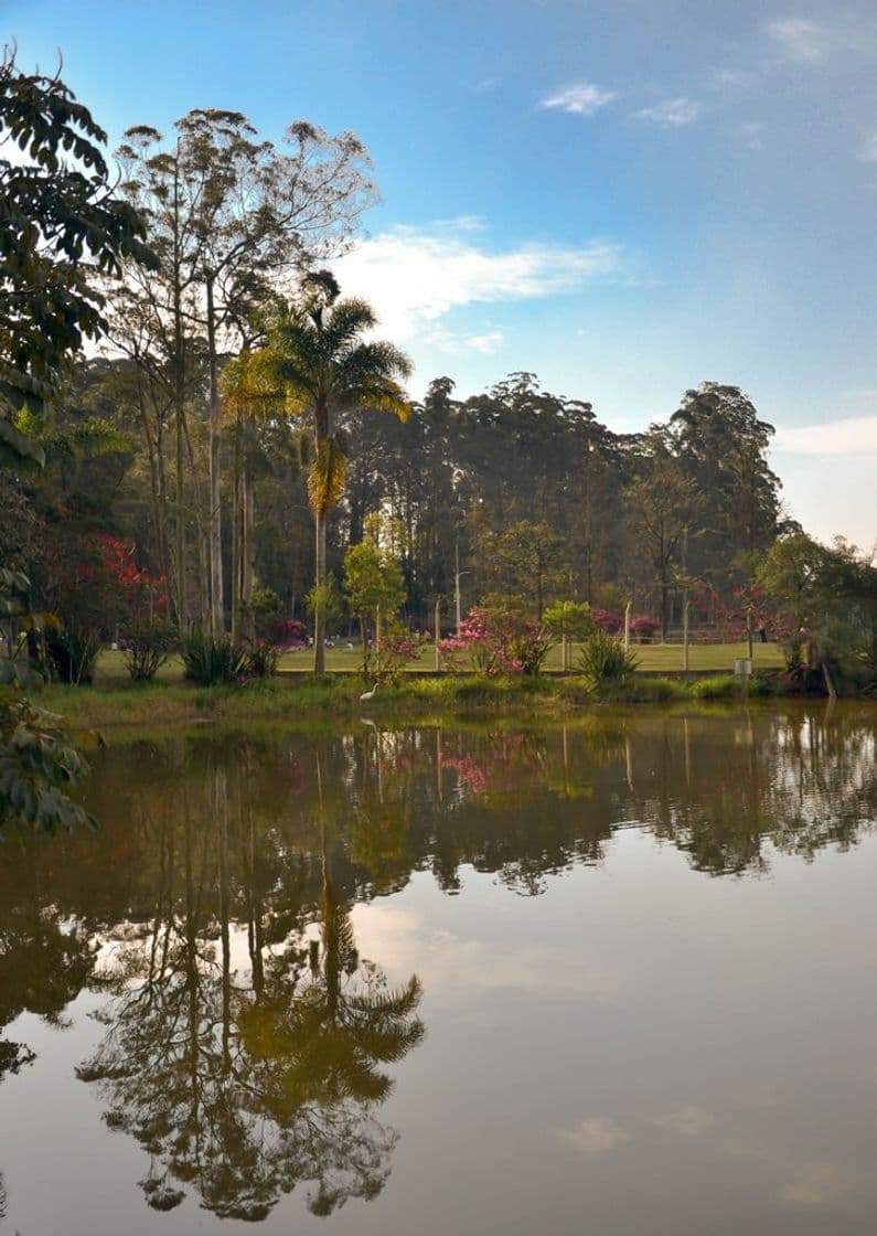 Place Parque Do Carmo