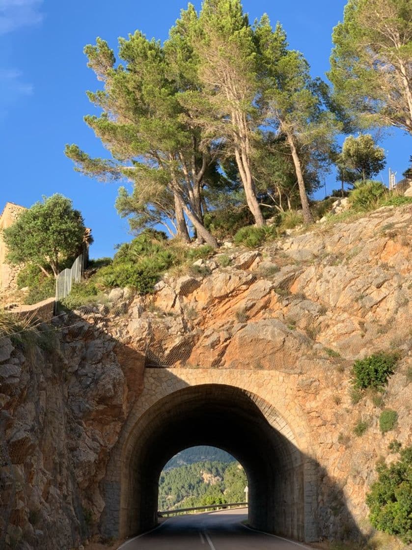 Lugar Mirador de Ricardo Roca