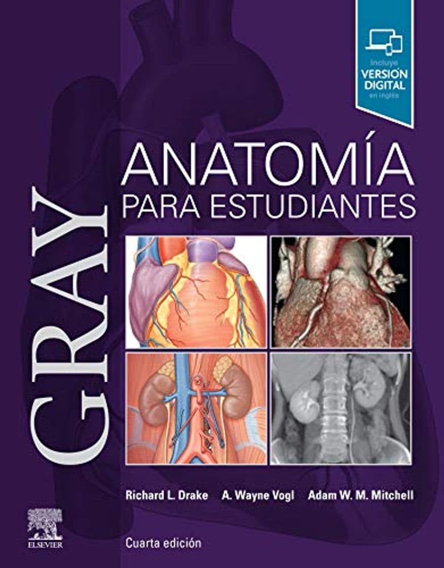 Libro Gray