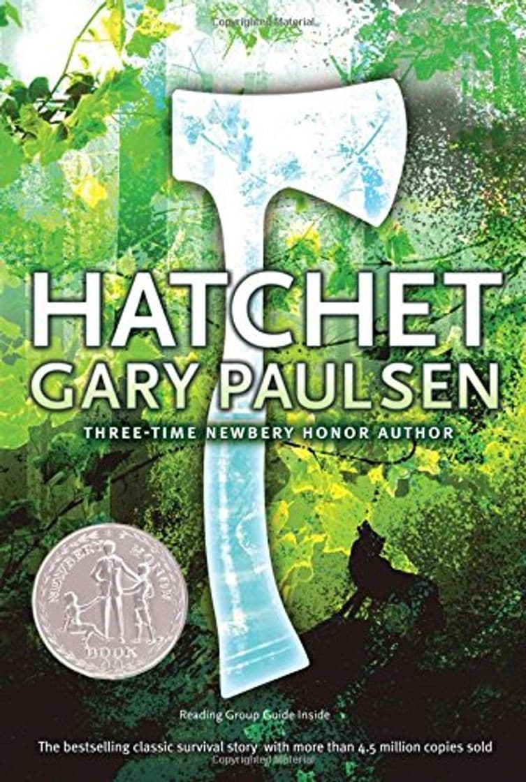 Book Hatchet