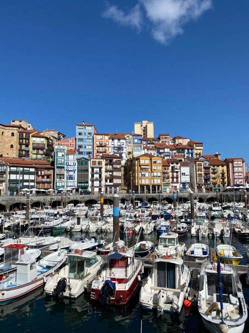 Place Bermeo