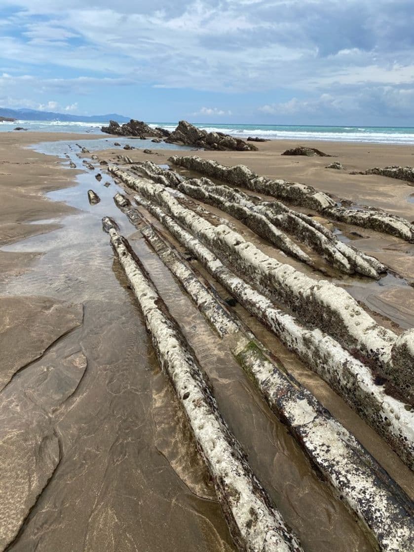 Place Flysch