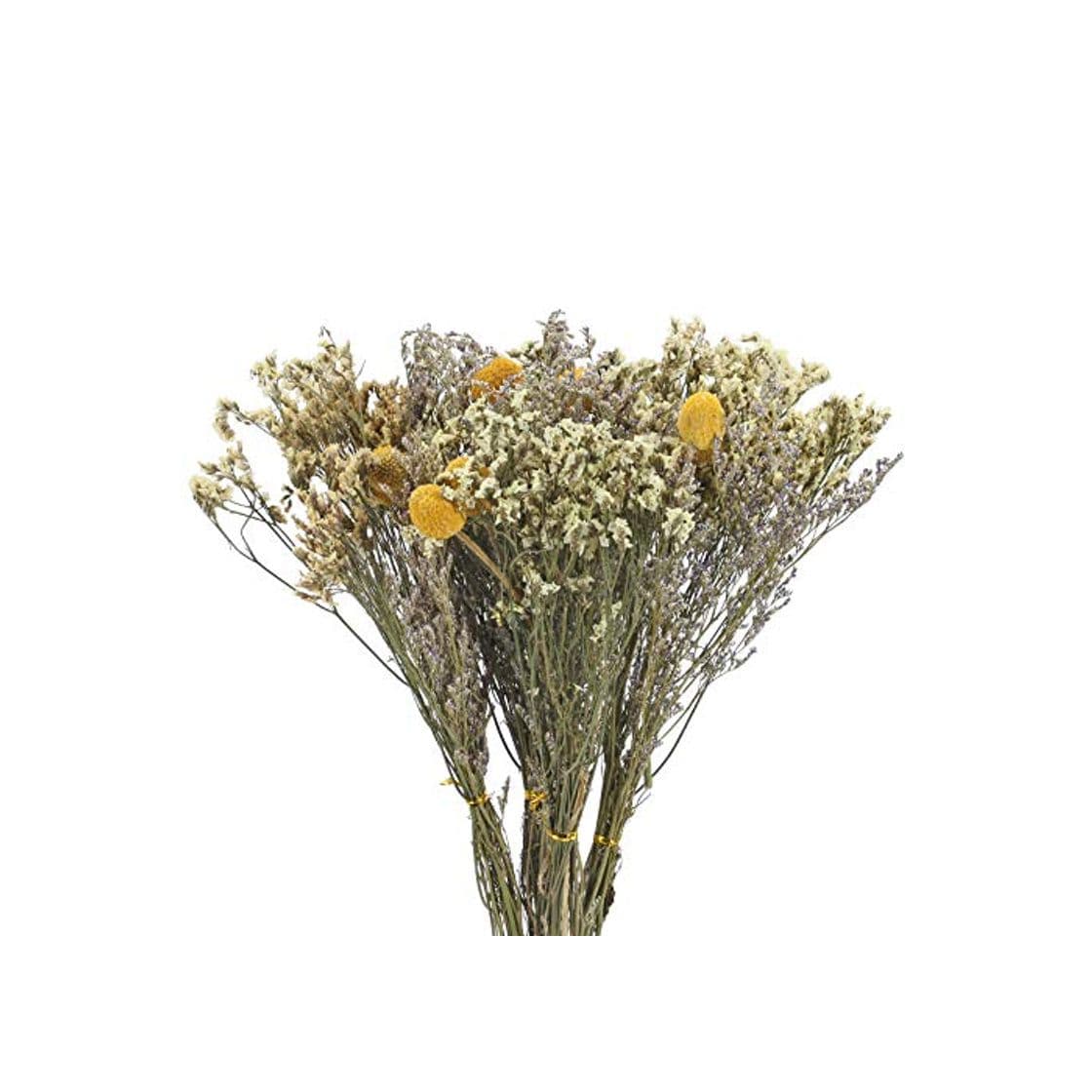 Product XHXSTORE 4pcs Ramo de Flores Secas Naturales Flores Seca Eucalipto y Craspedia secas Amarillas Decoracion para Ramo de Novia Arreglo Floral Manualidades San Valentín