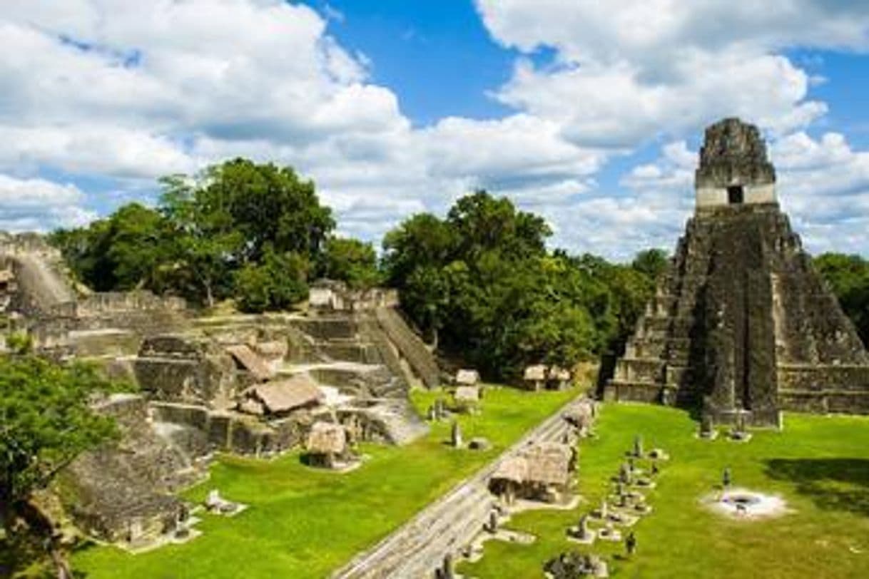 Lugar Tikal, Peten Guatemala