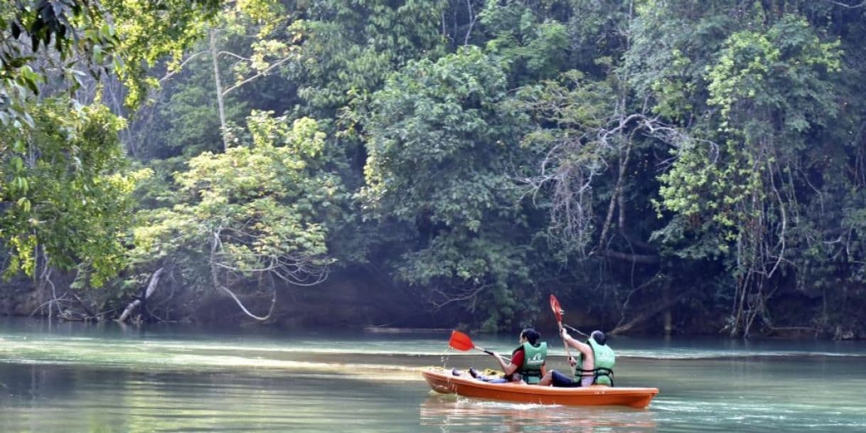 Lugar Las Guacamayas Ecolodge