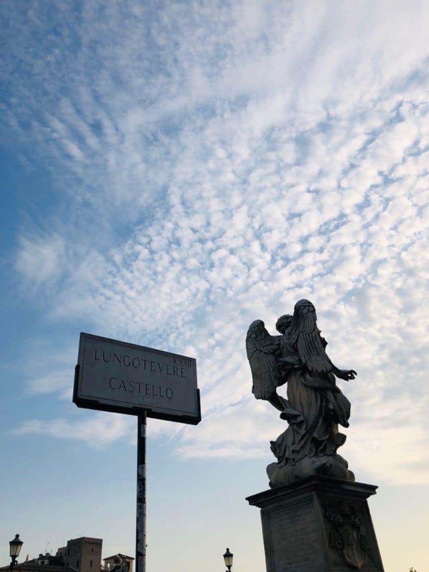 Place Lungotevere Castello