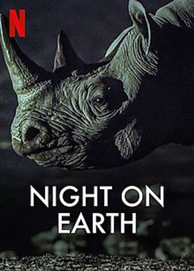 Fashion Night on Earth | Netflix