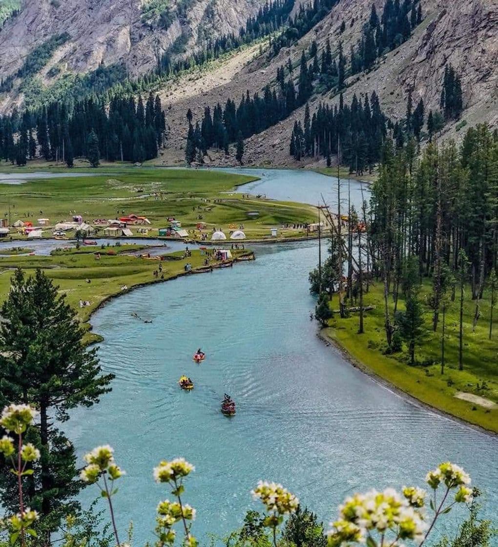 Place Swat