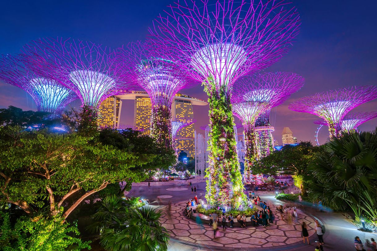 Lugar Gardens by the Bay