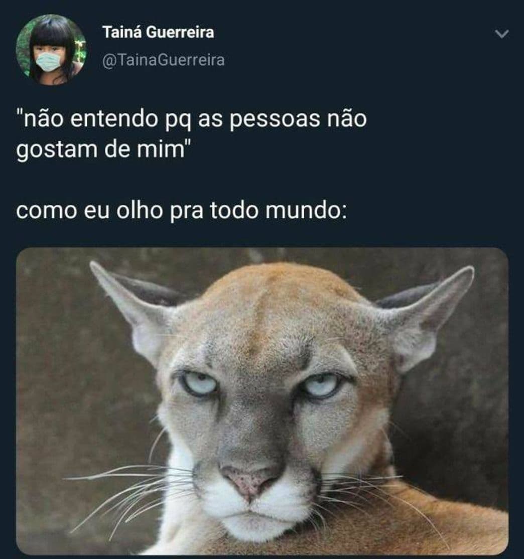 Fashion Memes engraçados