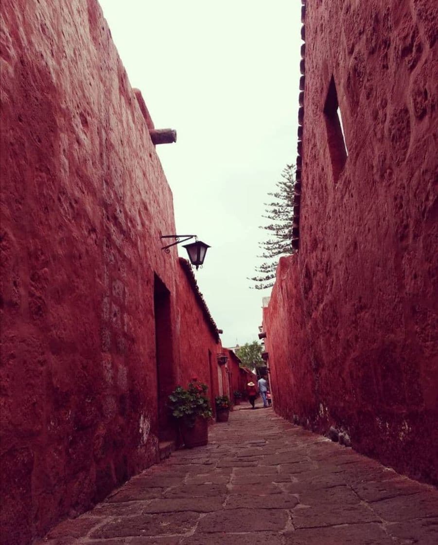 Place Monasterio de Santa Catalina