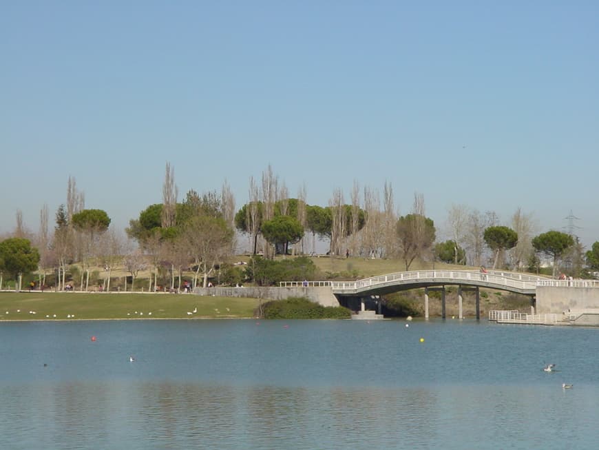 Lugar Parque Polvoranca