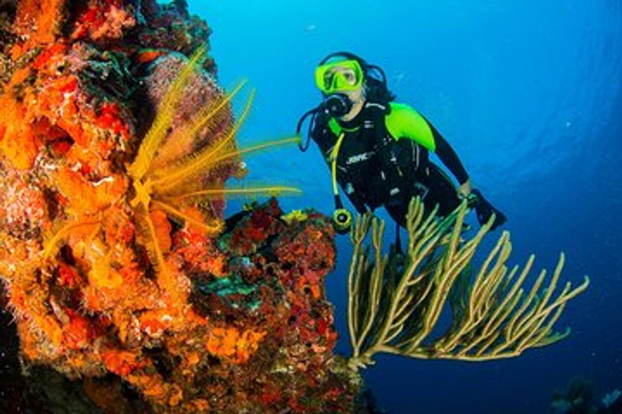 Lugar Scuba Diving Cancun