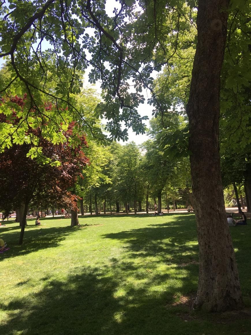 Lugar Parque de El Retiro