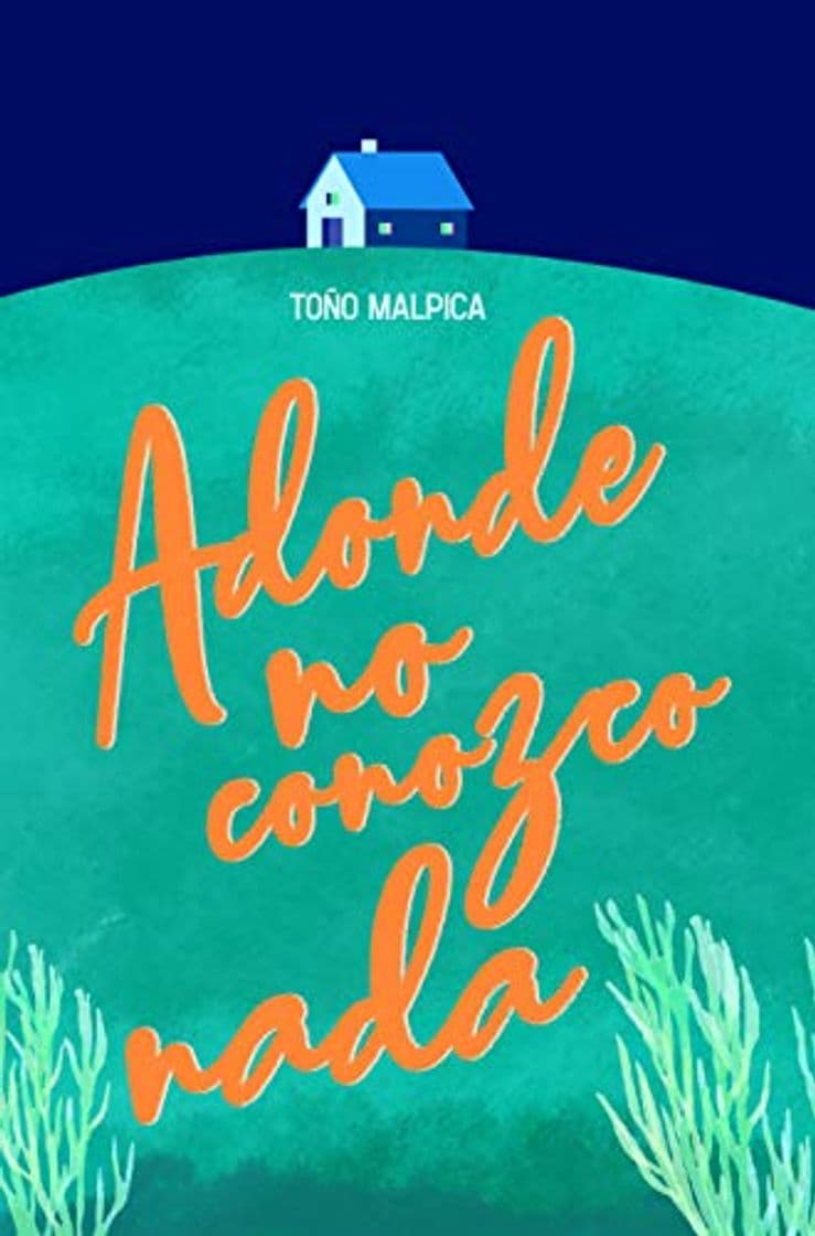 Libro Adonde no conozco nada: 377