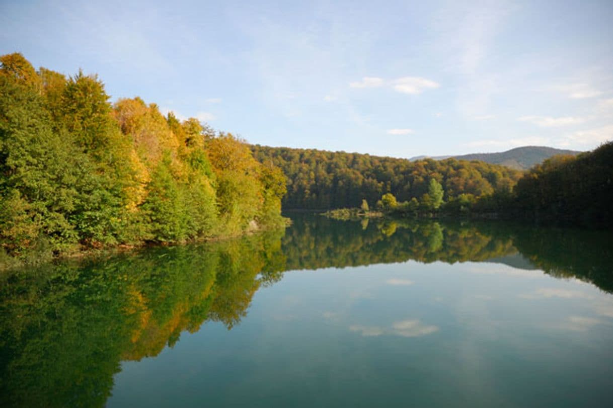 Lugar Selva De Irati/Iratiko Oihana