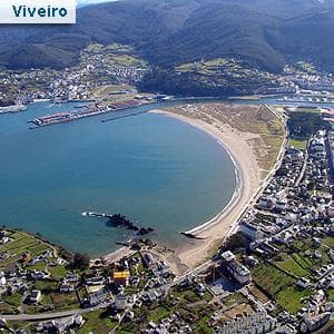 Lugar Viveiro