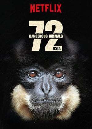 Serie 72 Dangerous Animals: Asia