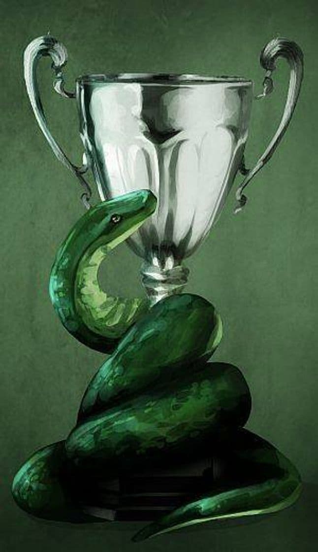 Moda Slytherin wins the cup