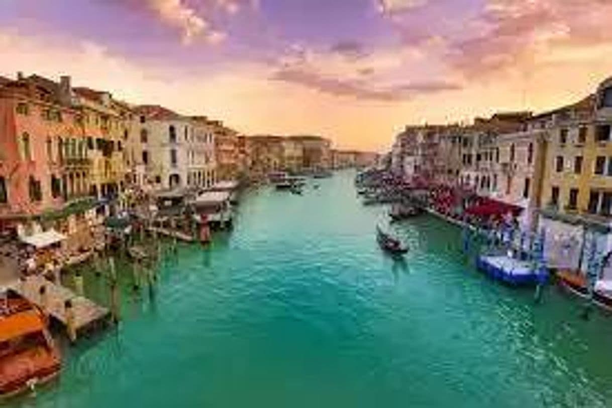 Place Venecia