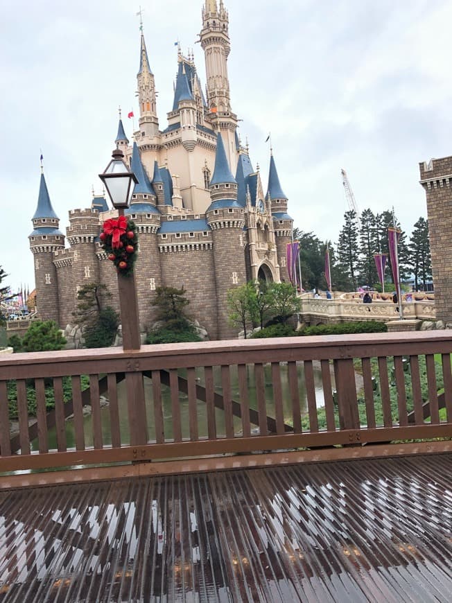 Place Tokyo Disneyland