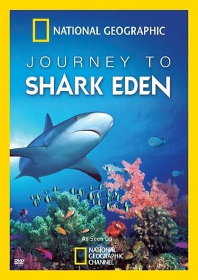 Película Journey to Shark Eden