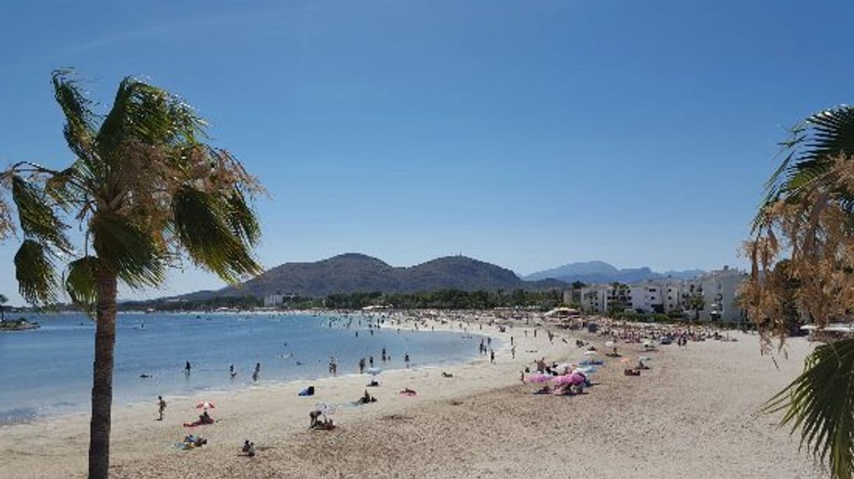 Place Playa alcudia