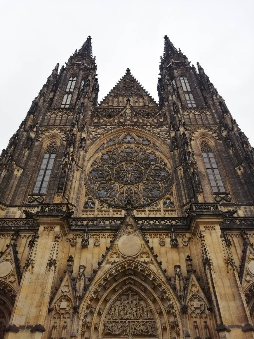 Place Catedral de Praga