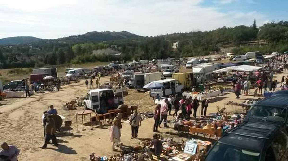 Lugar Mercadillo de antigüedades de Navacerrada