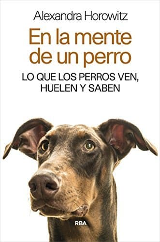 Libro En la mente de un perro