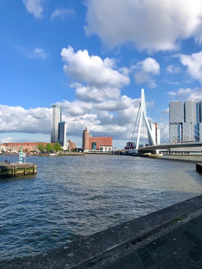 Moda Rotterdam