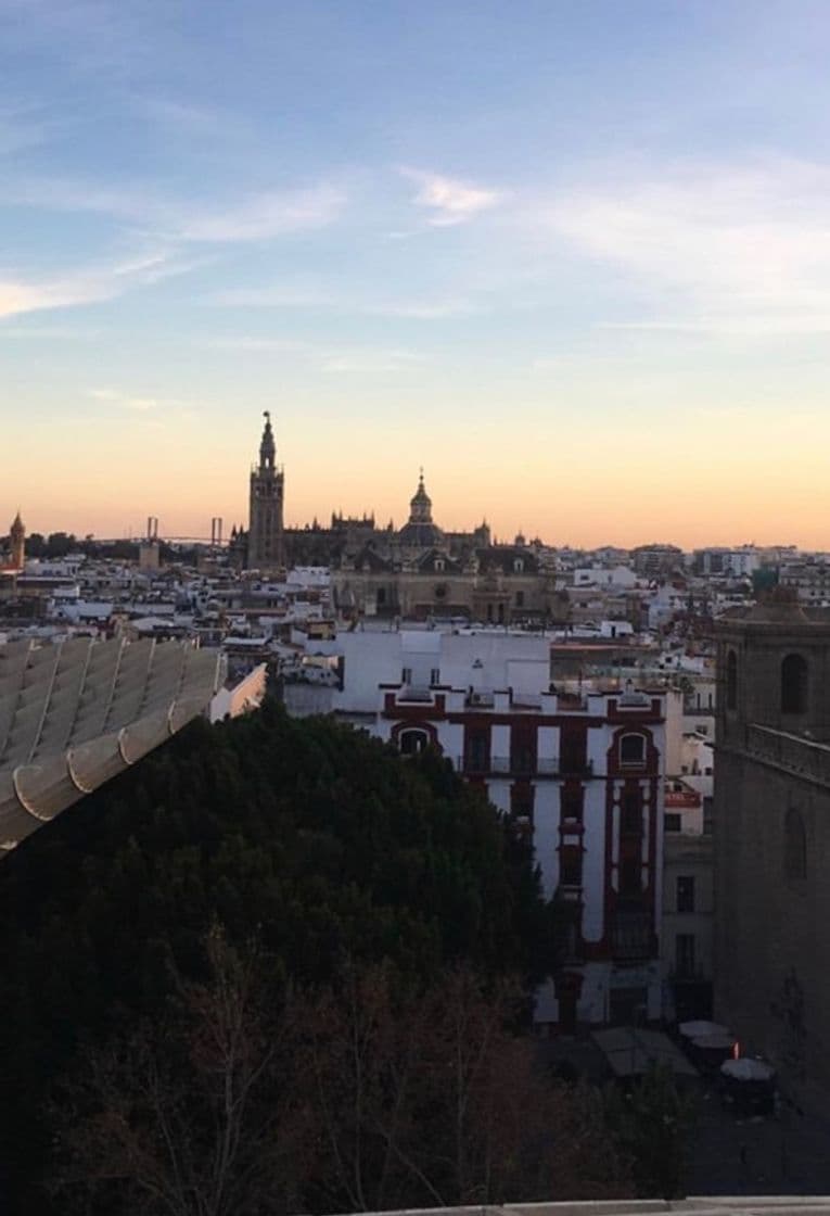 Place Setas de Sevilla