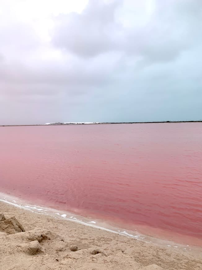 Fashion El Lago Rosa en Las Coloradas, Yucatán