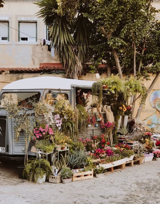 Place Pequeno Jardim - Flower Truck